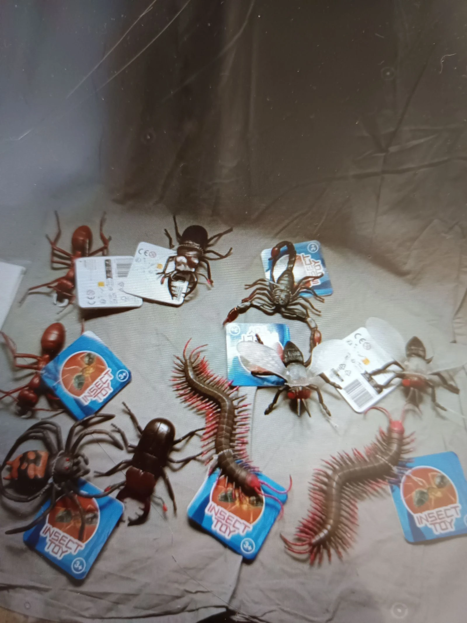 Insecte en jouet 